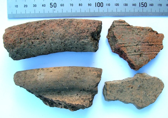 Roman Pottery finds, Holmer Green, Stuart King image (7)