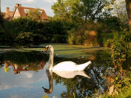 The Mill pond Little Misenden-HS2