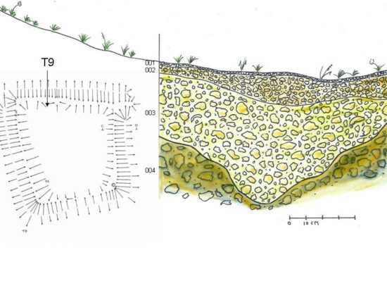 Wildwood -Enclosure bank and ditch section