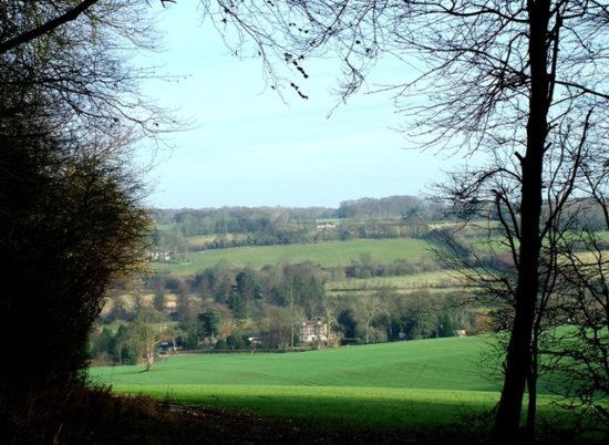 woodland looking towards Little Missenden Jan 2008